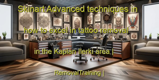 Skinart Advanced techniques in how to excel in tattoo removal in the Kaplan Ilerki area | RemovalTraining | RemovalClasses | SkinartTraining-Turkmenistan
